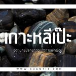“เกาะหลีเป๊ะ” จุดหมายปลายทางแห่งการพักผ่อน~